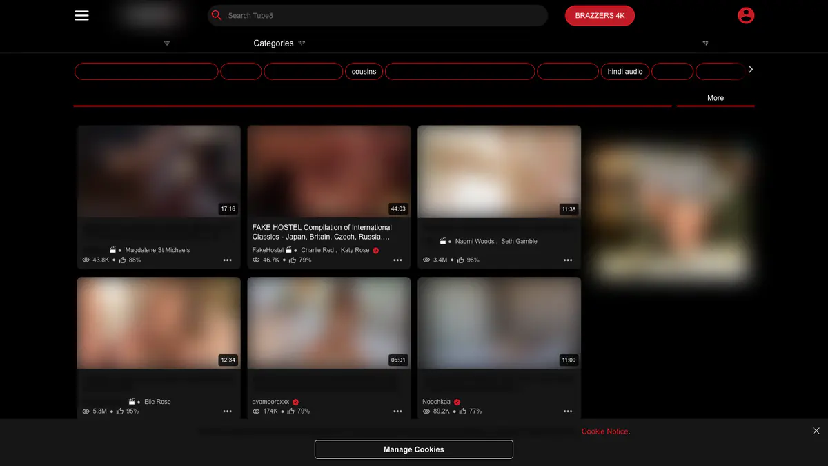 Tube 8 Video Downloader browser extension screenshot 2