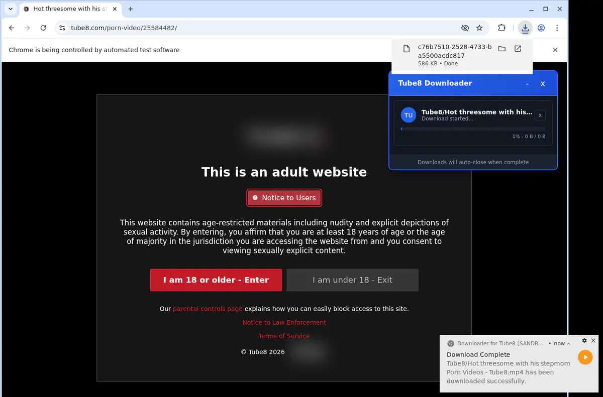 Tube 8 Video Downloader browser extension screenshot 3