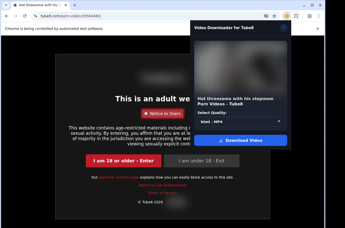 Tube 8 Video Downloader browser extension screenshot 4